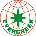 График акций Evergreen International Storag